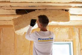 Eco-Friendly or Green Insulation Solutions in Newton, MS